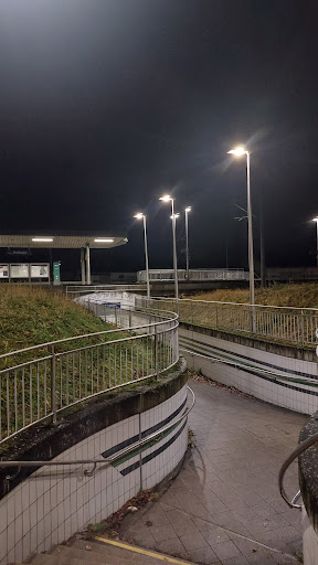 Rollwald - Visual