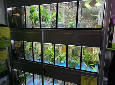 pet-store