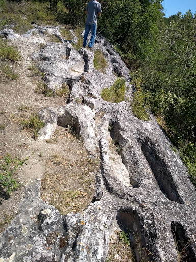 Necrópolis de Peña Horrero