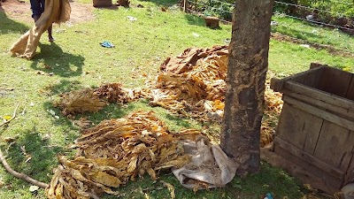 Photos of Komotobo Mission