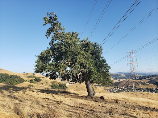 Coronado Canyon Trailhead - Thumbnail