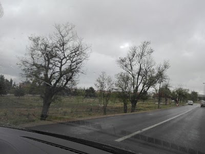 Photos of Shell