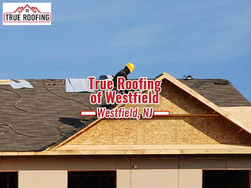 True Roofing of Westfield Gallery - United States
