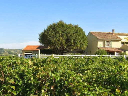 Photo de 3 Gites à Camaret-sur-Aigues (84850)