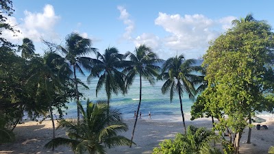 Photos of Sapphire Beach Condos Barbados