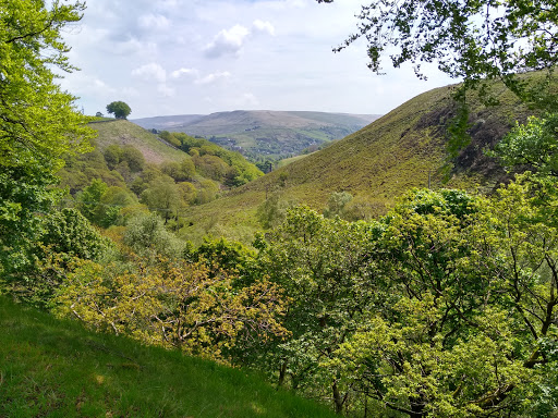 Gorpley Clough - Thumbnail