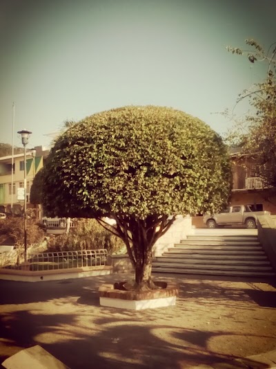 Photos of TALLERES TELLO