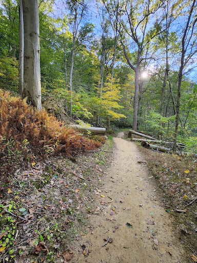 Sand Run Metro Park - Thumbnail