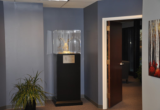 Penn Global - Visual