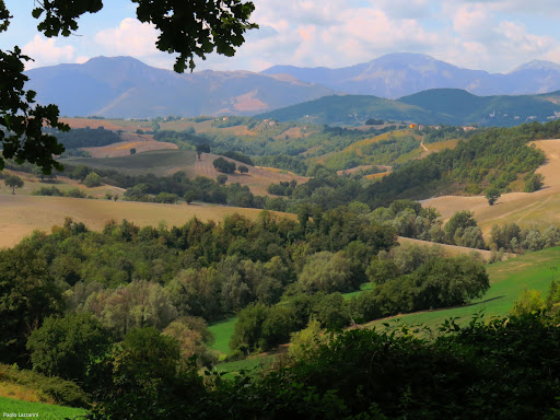 Cappella Paoletti - Visual