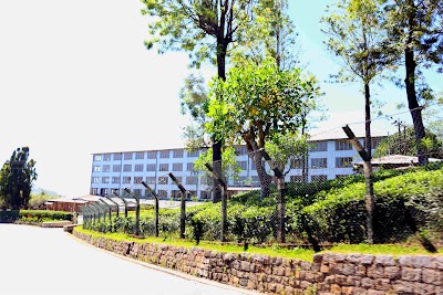 Photos of Wewessa Tea Factory