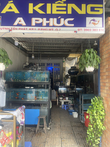 Cửa