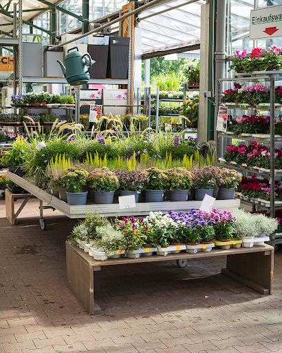 Schouten Flowers & Plants - Thumbnail