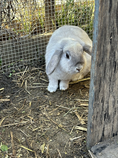 The Peach Farm Campground - Thumbnail