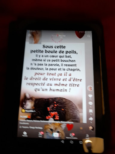 Photo de Le Clos Saint Jean à Belleville-en-Beaujolais (69220)