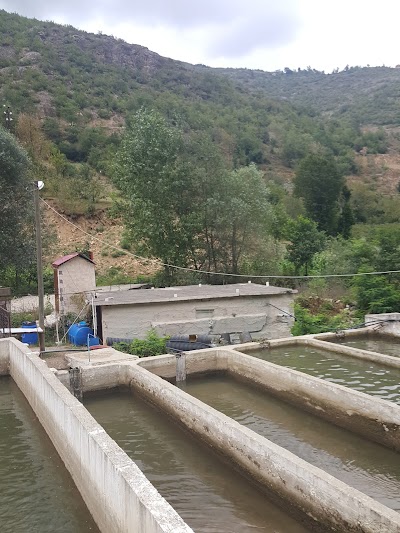 Photos of S&uuml;melas Camping
