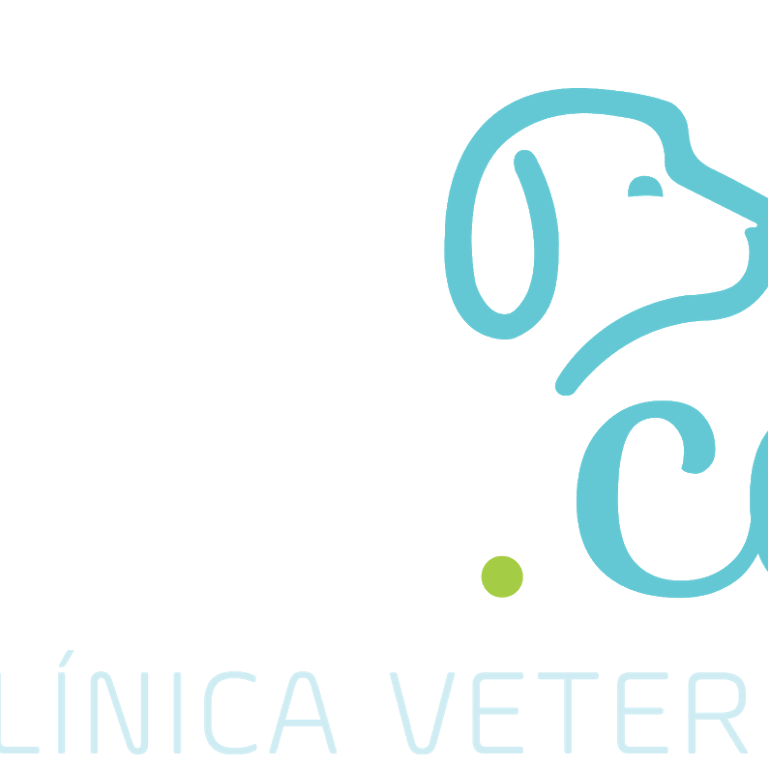 Pet Gatô - Clínica Veterinária e Pet Shop