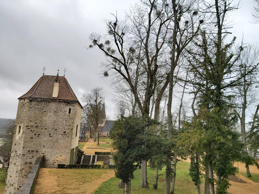 Tour Saint-Louis Gallery - France