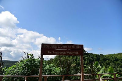 Photos of Tad Tayicsua