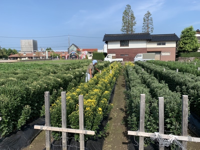 いちご狩り 直売 遊花園（ゆうかえん）