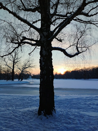 Planetenwanderweg: Jupiter - Thumbnail