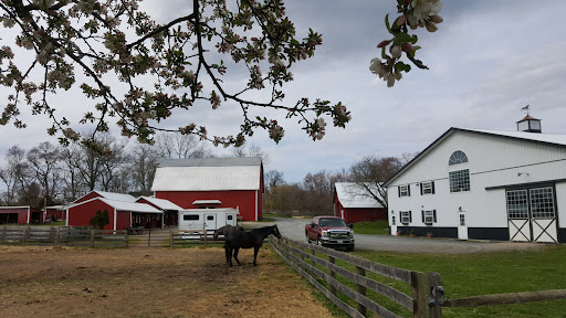 Stonebrook Farm Inc