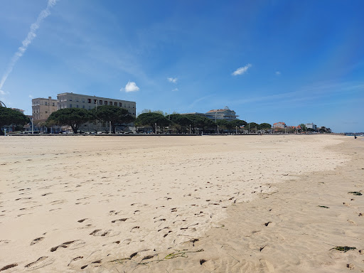 Arcachon Town Hall Gallery - France