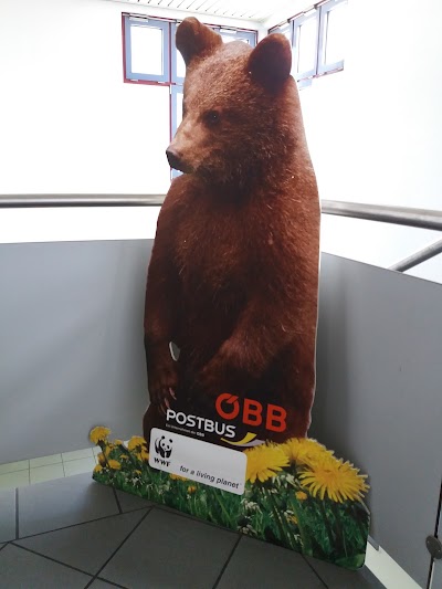Photos of &Ouml;BB-Postbus GmbH - Verkehrsstelle Spittal