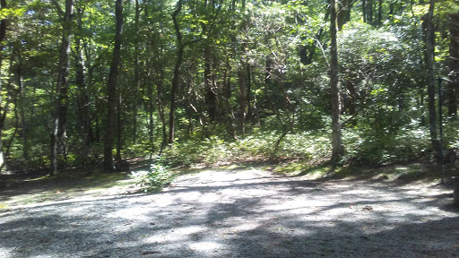 Dockery Lake Recreation Area - Thumbnail