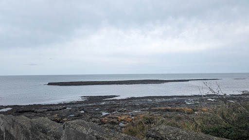 Muckle Carr - Visual