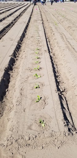San Joaquin Delta College Farm - Thumbnail