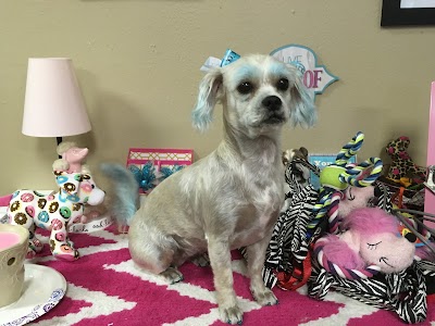 A-1 Grooming/Pine Bluff Pets