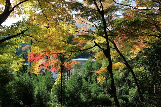 Daitokuji Sanshu Temple