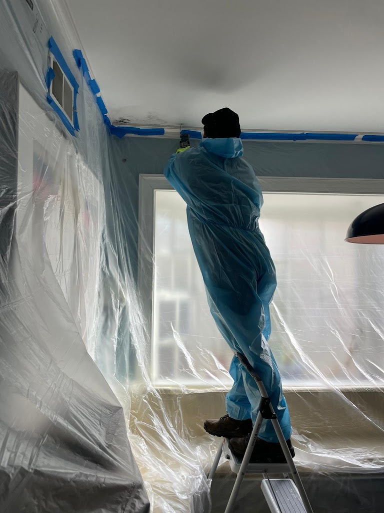 Green Guard Mold Remediation of Edison photo