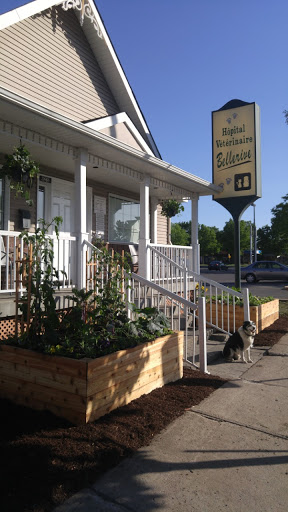 Bellerive Veterinary Hospital Inc - Canada