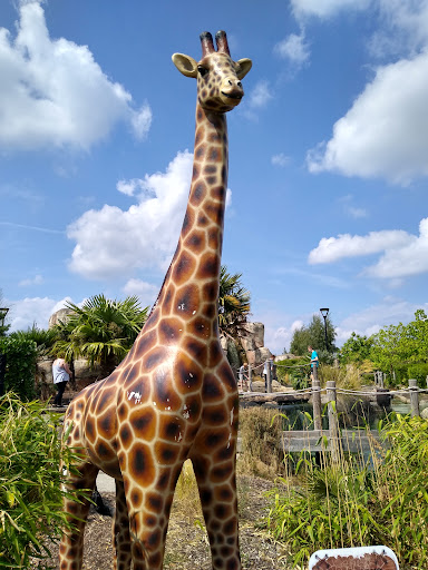 Jungle Island Adventure Golf - Thumbnail