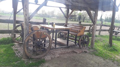 Photos of Binef At &Ccedil;iftliği