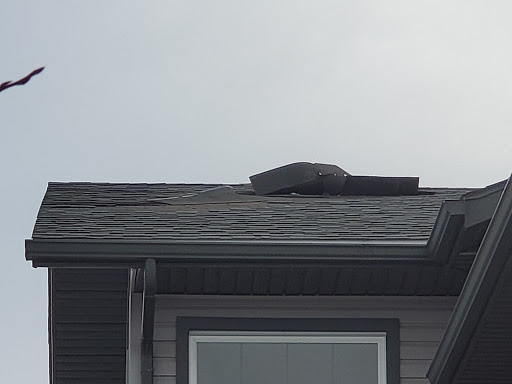 Maple Leaf Roofing - Visual