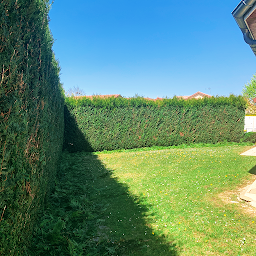 Photo n°17 de AP espaces verts à Thierville-sur-Meuse (Paysagiste)