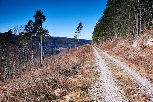 Breitendiel - Visual