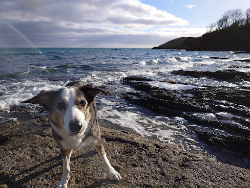 Bream Cove - Visual