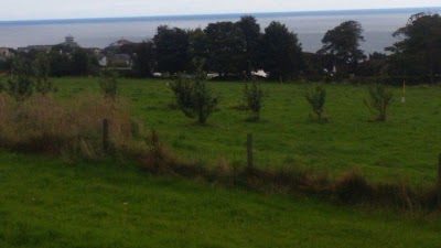 Photos of Summerhill Wetlands