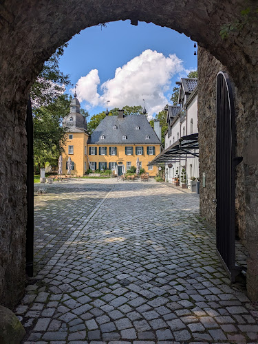 Freistil Fotografie - Anette Hammer