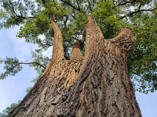 Grand River Conservation Area - Thumbnail