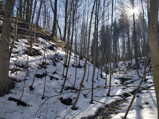 Haldenburg - Visual