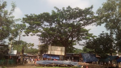 Photos of Bordgor Bazar