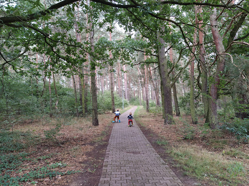 Freizeit & Camping Park Colbitz - Thumbnail