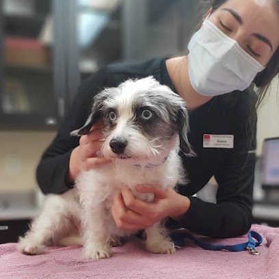 West Ridge Animal Hospital