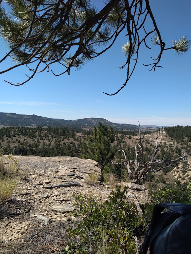 Tongue River Breaks Hiding and Riding Area