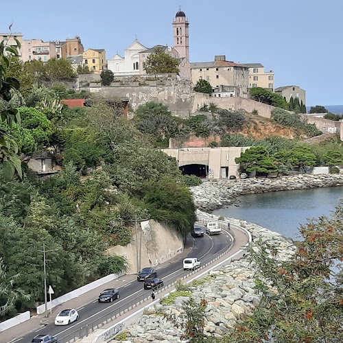 Avis sur Collège Saint Joseph - Culleghju San Ghjiseppu à Bastia - École